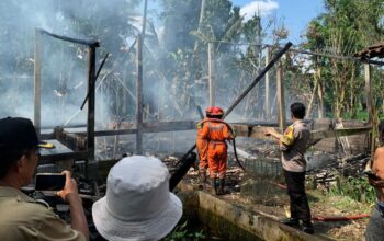 Diduga Korsleting, Kandang Ayam di Dusun Baan Semarang Kebakaran, Kerugian Capai Rp75 Juta
