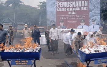 pemusnahan rokok ilegal