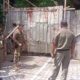 Ganggu Akses Warga, Satpol PP Bongkar Pagar Seng di tengah Jalan Perumahan Sinar Waluyo Semarang