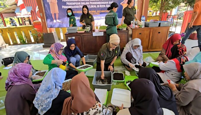 Dukung Pencegahan Stunting, UKSW Salatiga Kembangkan Urban Farming Singkong dan Talas