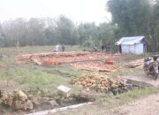 Warga gotong royong bersihkan puing-puing rumah yang roboh akibat diterjang puting beliung. (Heri/beritajateng.tv)