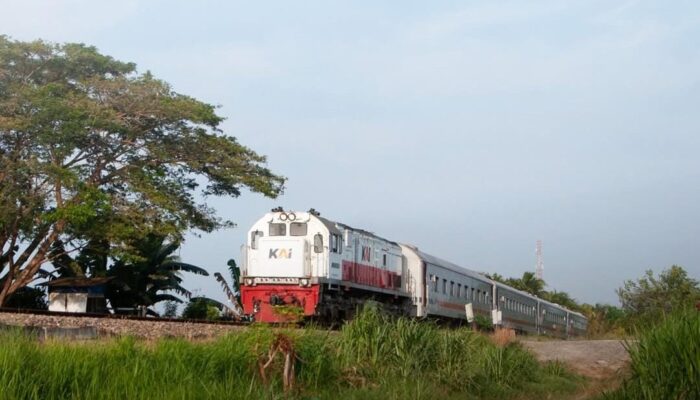 Resmi Beroperasi! Ini Daftar Kereta Ekonomi New Generation & Stainless Steel Terbaru 2025