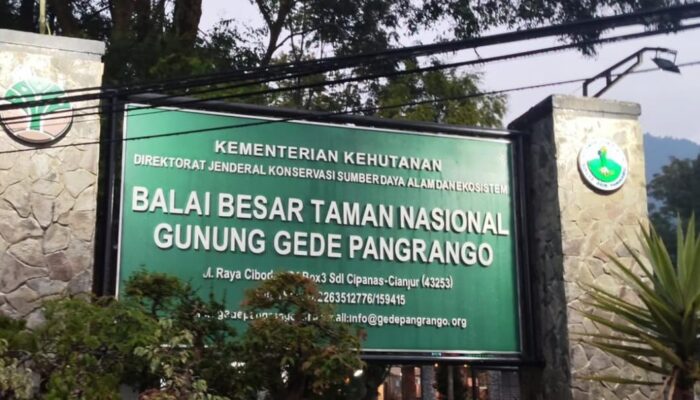 Pengelola Tutup Gunung Gede Pangrango, Sampah Pendaki Jadi Pemicu Utama