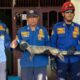 Heboh! Biawak 1,5 Meter Bersarang di Rumah Warga Ungaran, Damkar Turun Tangan