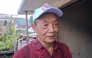 kentang kopeng