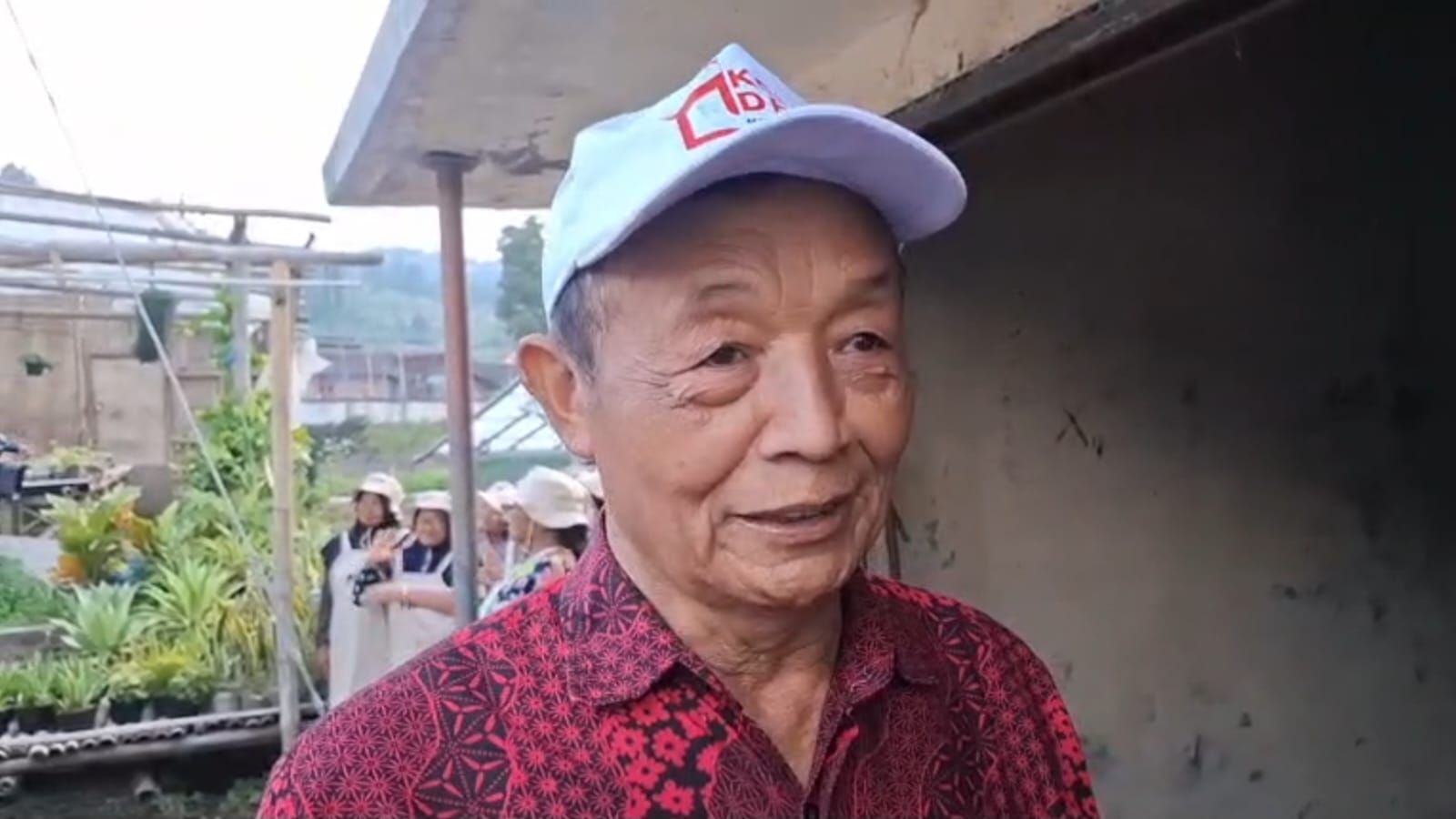 kentang kopeng