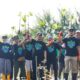 Catat Rekor Muri, Penanaman Jutaan Bibit Mangrove oleh Pemprov Jateng Terbanyak dalam Satu Waktu