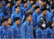 Informasi peluang seleksi CPNS 2026