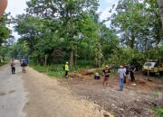 Suasana penebangan kayu jati di area wisata alam Goa Terawang Ekopark,