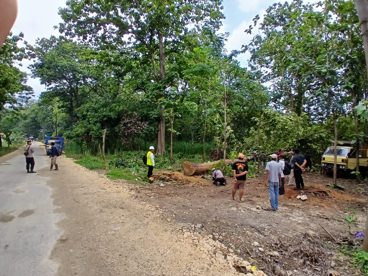 Suasana penebangan kayu jati di area wisata alam Goa Terawang Ekopark,