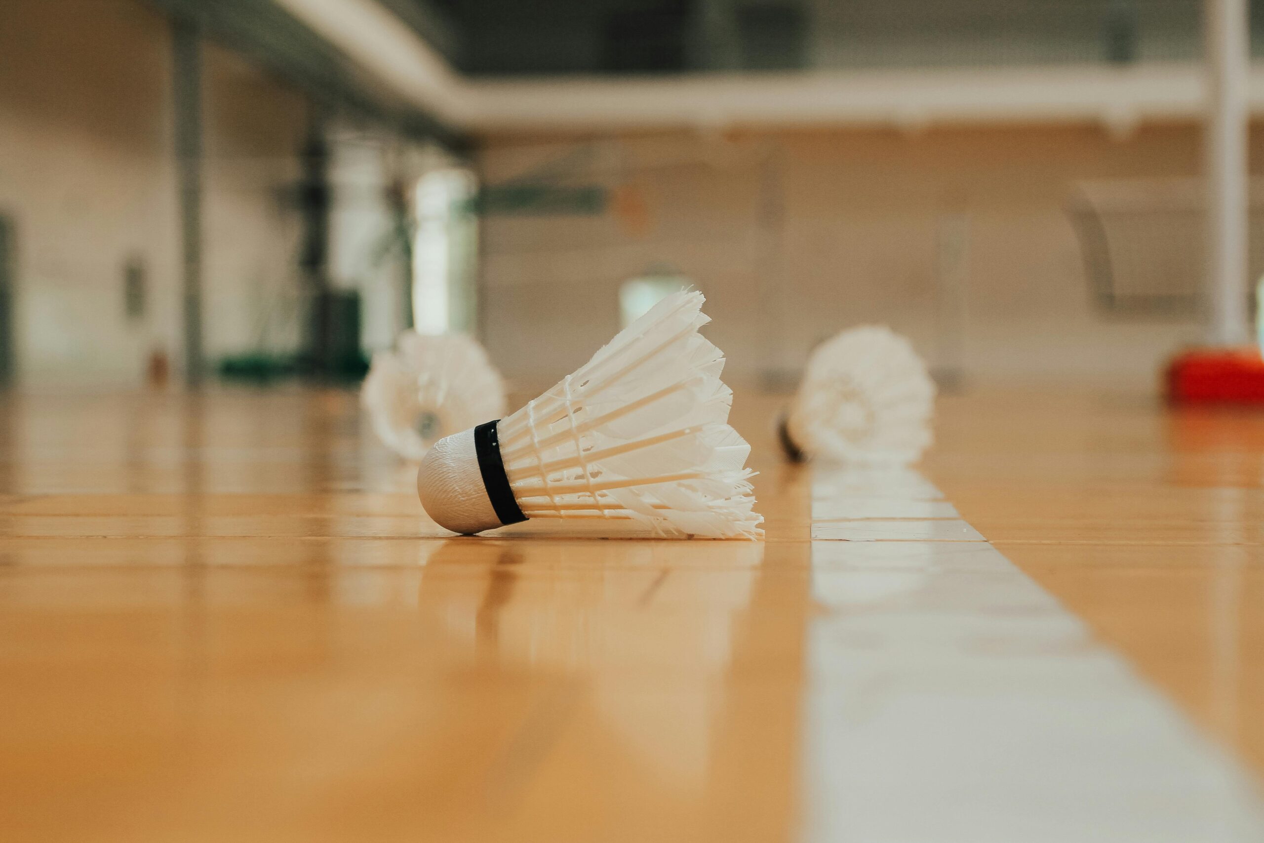 jadwal badminton Oktober 2025