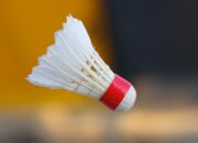 Denmark Open 2025
