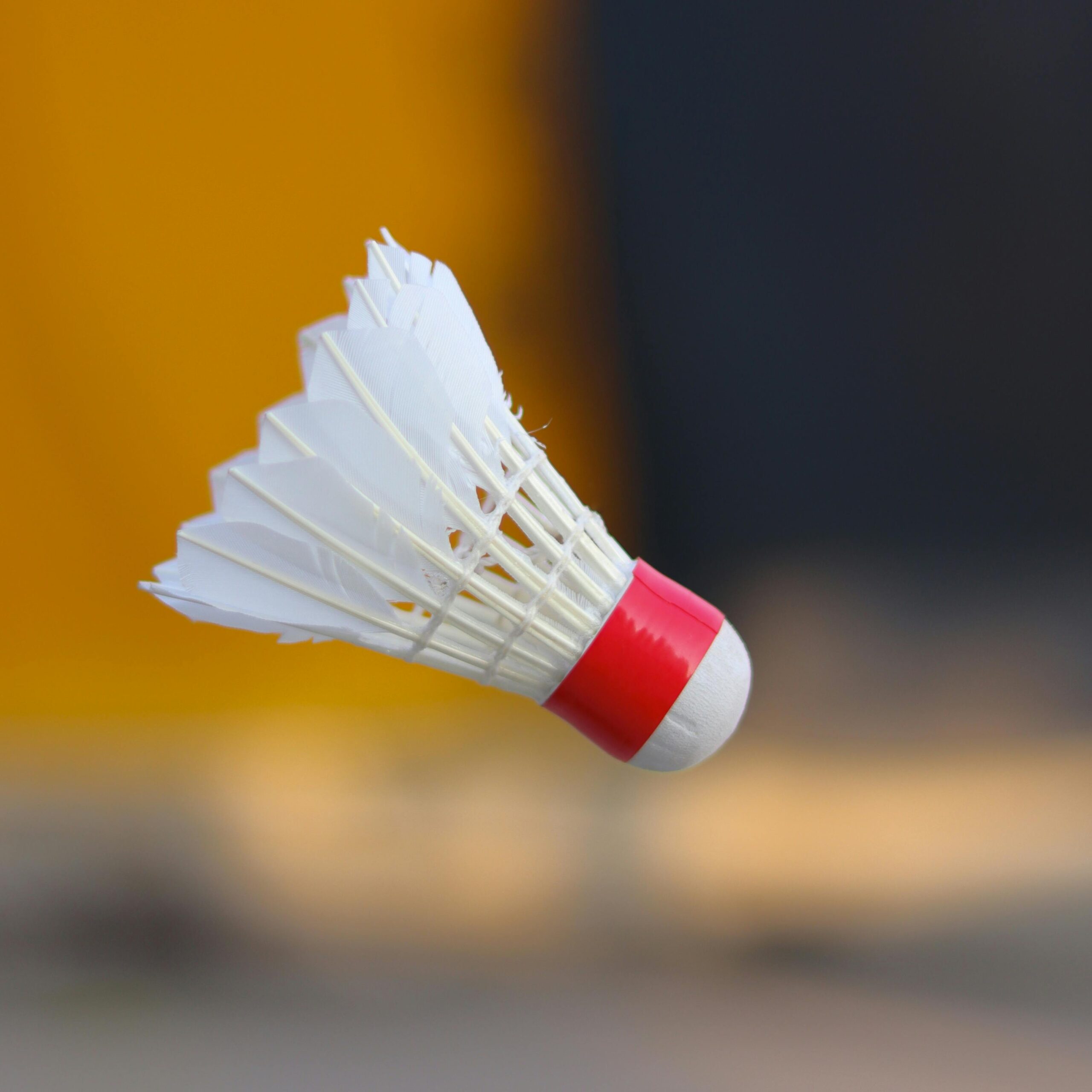 Denmark Open 2025
