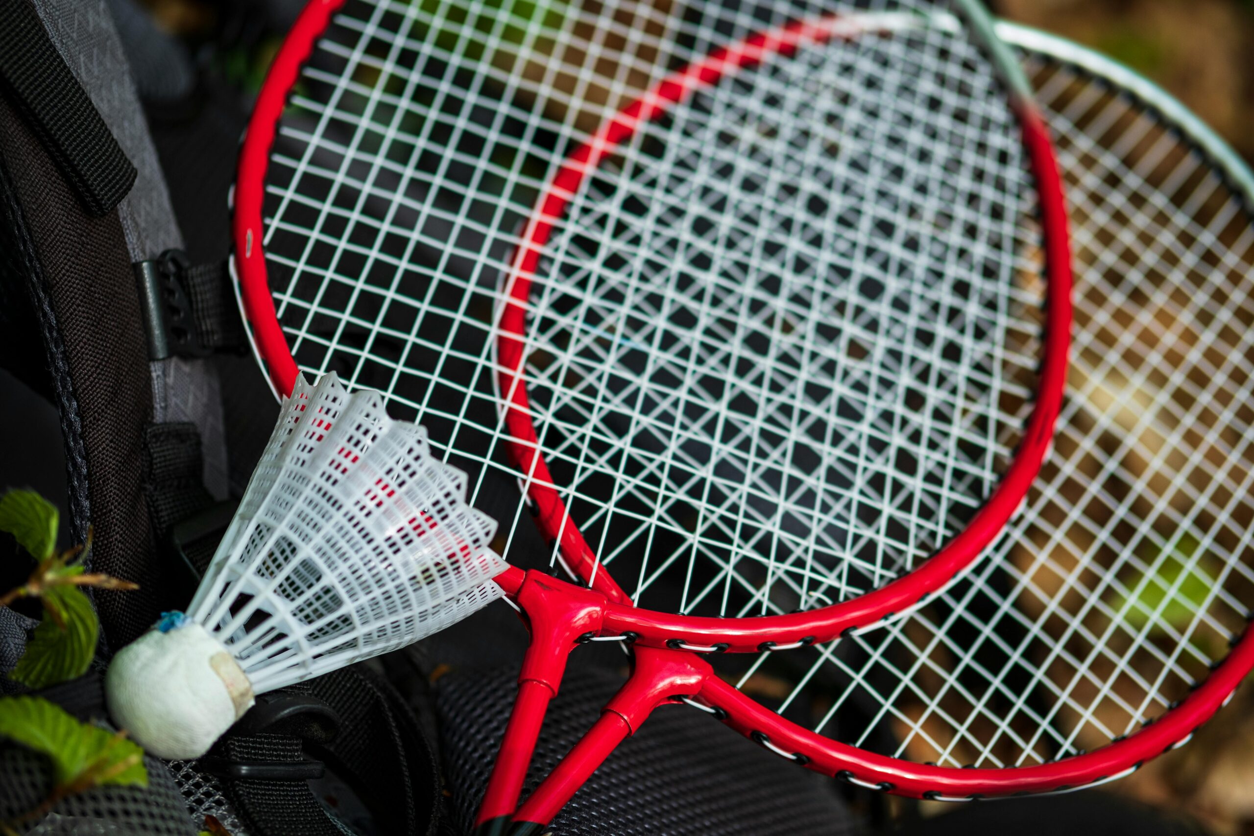 Denmark Open 2025