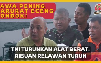 Eceng Gondok Rawa Pening