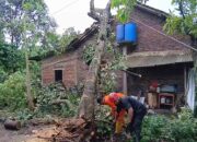 Angin Puting Beliung Tuntang