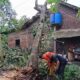 Angin Puting Beliung Terjang 2 Desa di Tuntang Semarang: Pohon Tumbang Timpa Rumah-Jalan