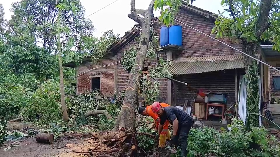 Angin Puting Beliung Tuntang