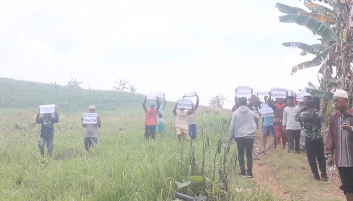 Protes ke Perhutani, Petani Hutan di Blora Tolak Pengelolaan Lahan dengan Skema Kawasan Khusus