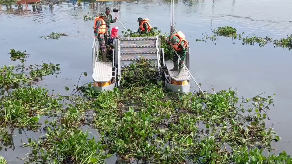 Eceng Gondok Rawapening