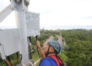 Pasca Merger, XLSMART Raih Laba Bersih Rp1,15 Triliun di Kuartal III 2025