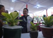 Kota Semarang Jadi Magnet Baru Pecinta Anthurium dan Aglaonema