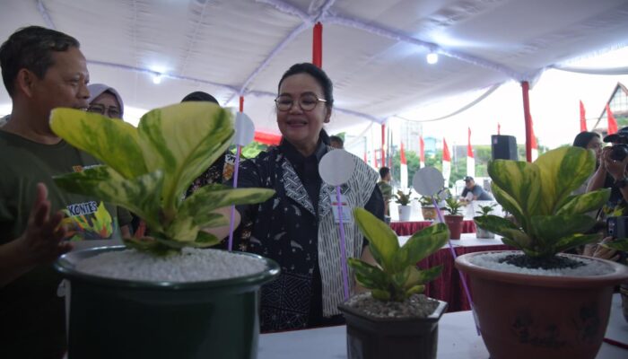 Kota Semarang Jadi Magnet Baru Pecinta Anthurium dan Aglaonema