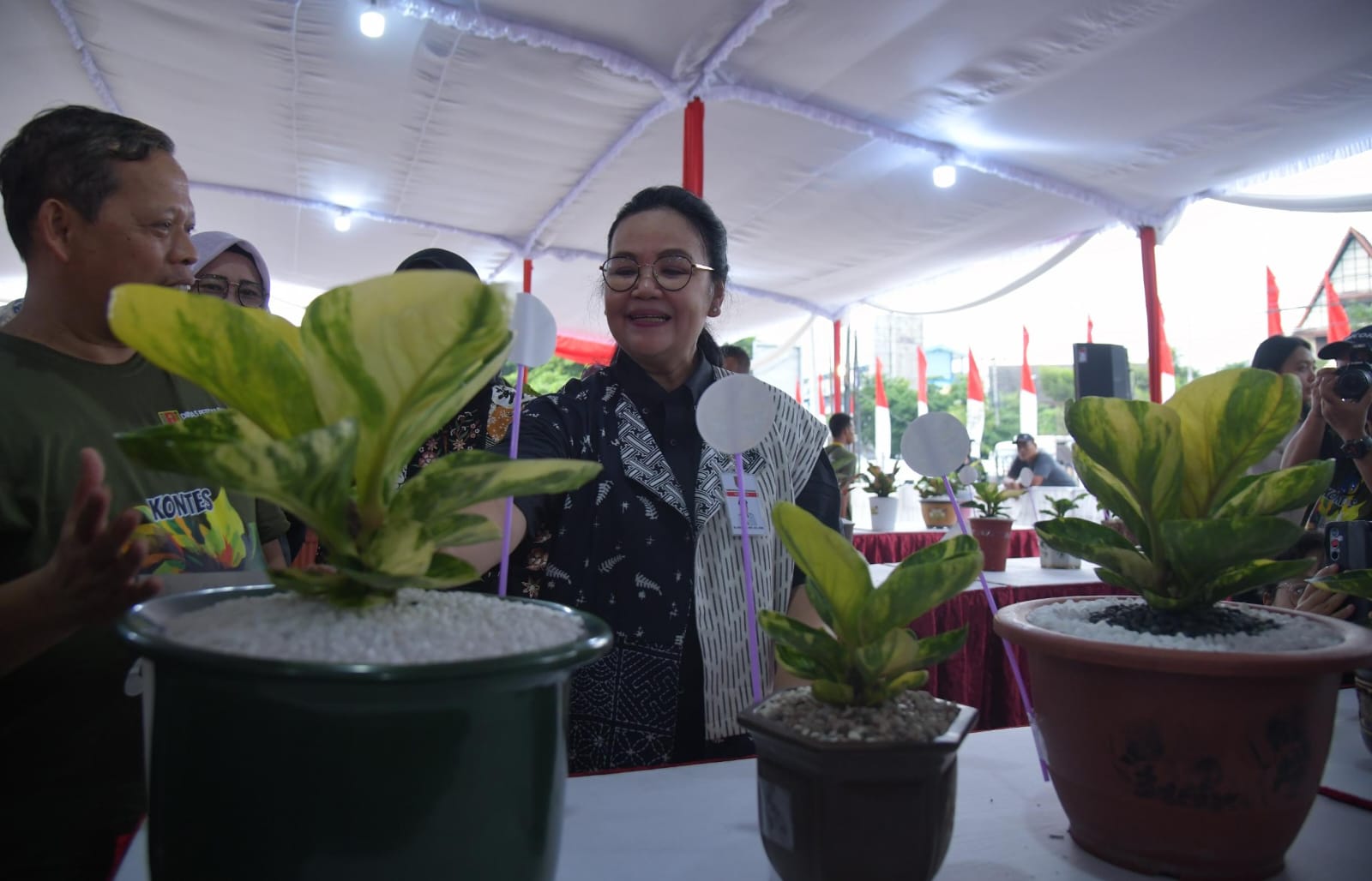 Kota Semarang Jadi Magnet Baru Pecinta Anthurium dan Aglaonema