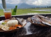 Menikmati Ikan Asapan Bonus Panorama Sawah-Gunung di Ambarawa, Sambalnya Jawa Timuran!