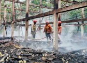 Kandang Ayam Susukan
