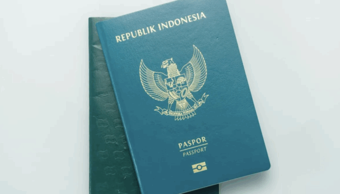 14 WNA China Jadi Buruh Bangunan Ilegal di Kelapa Gading, Langsung Dideportasi