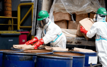 petugas musnahkan udang terkontaminasi c-137