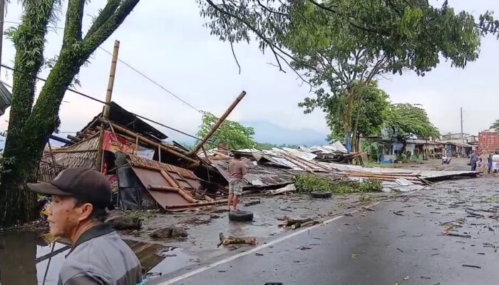 Diterjang Puting Beliung, Kafe dan Warung Makan di Salatiga Porak Poranda, Belasan Pohon Tumbang