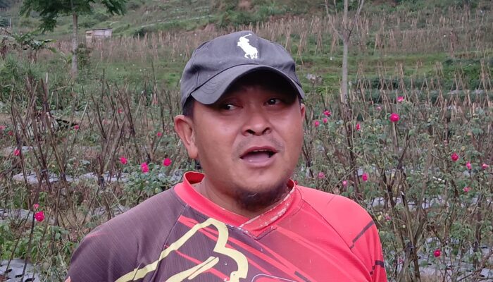 Kerusakan Ekosistem Ungaran Semarang Dituding Picu Serangan Hama Kera Liar