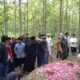 Sosok Sesepuh Adat Samin Blora Mbah Lasiyo Wafat di Usia 66 Tahun, Dimakamkan di Tengah Hutan Jati