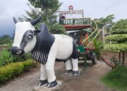 Menikmati Soto Murah Di Tengah Hamparan Sawah dan Panorama Gunung Ungaran