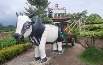 Menikmati Soto Murah Di Tengah Hamparan Sawah dan Panorama Gunung Ungaran