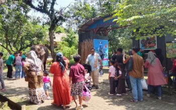 Semarang Zoo Siapkan Zoonderland dan Forest Track, Liburan Akhir Tahun Bakal Makin Berwarna