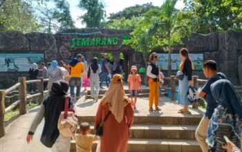 Semarang Zoo Fokus Kejar Pendapatan Rp600 Juta di Libur Nataru 2025/2026