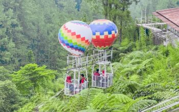 Wisata Kembang Langit Park