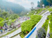 Wisata Kembang Langit Park