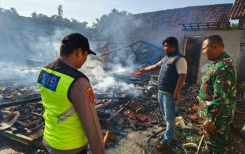 Diduga Gara-Gara Puntung Rokok, Rumah Petani di Blora Ludes Terbakar, 2 Sapi Ikut Terpanggang
