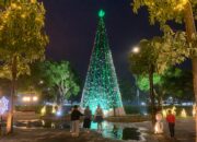 Pohon Natal 15 Meter