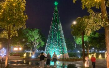 Pohon Natal 15 Meter