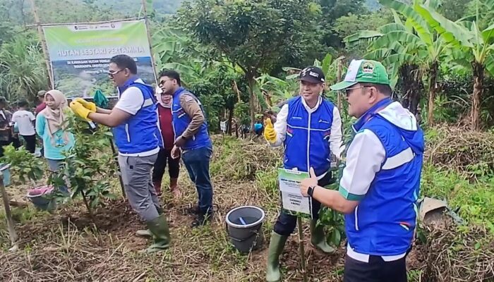 Tanam 48 Ribu Pohon, Pertamina Foundation dan Undip Perkuat Lingkungan Hulu Sungai Babon