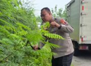 Wawan Andi Susanto, saat ikut terjun babat semak belukar ditepi jalan Blora-Randublatung