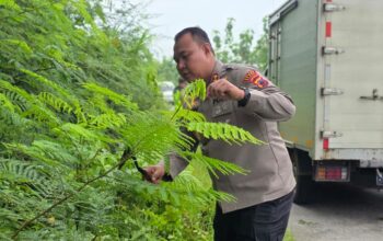 Wawan Andi Susanto, saat ikut terjun babat semak belukar ditepi jalan Blora-Randublatung