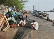 Budidaya Ikan Air Tawar Jadi Harapan Nelayan di Semarang saat Musim Baratan