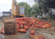 Disdag Semarang: Pedagang Jangan Tergiur Bawang Bombai Impor Ilegal, Beresiko!