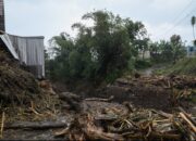 Kayu Gelondongan Terbawa Banjir Bandang Pemalang-Banyumas, WALHI Jateng: Ada Indikasi Deforestasi